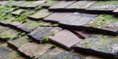 Trumpington roof repair costs